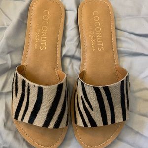 Coconuts by Matisse Cabana Slide